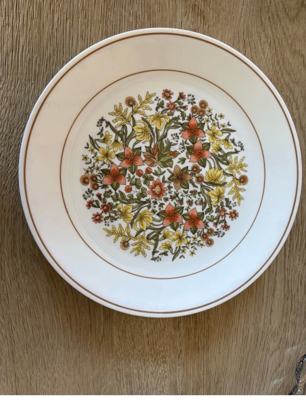 Set of 6 Corelle Indian Summer Dinner Plates Floral Pattern 70s Vintage  USA